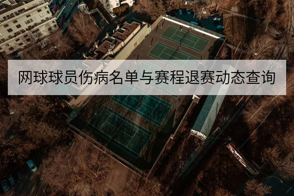网球球员伤病名单与赛程退赛动态查询